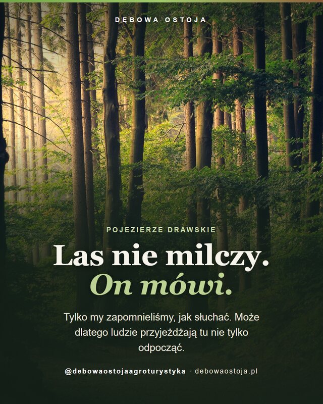 Post ośrodka w lesie